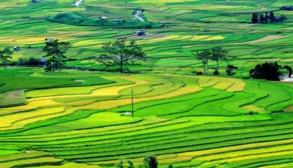 Một số thay đổi về sử dụng đất có hiệu lực từ ngày 01/09/2021.